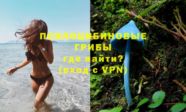 MDMA Беломорск