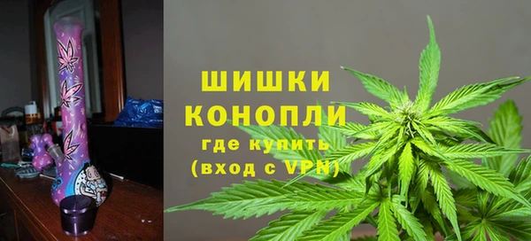 крисы Белокуриха