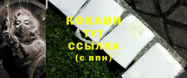 крисы Белокуриха