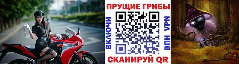 Псилоцибиновые грибы Psilocybe  Котельнич 